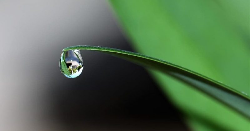 Gota de agua